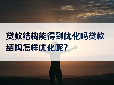 贷款结构能得到优化吗贷款结构怎样优化呢？