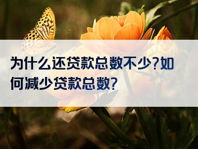 为什么还贷款总数不少？如何减少贷款总数？