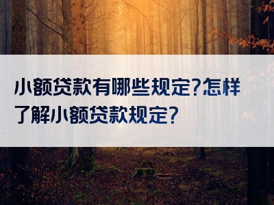 小额贷款有哪些规定？怎样了解小额贷款规定？