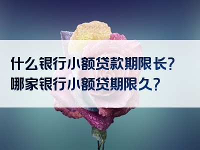 什么银行小额贷款期限长？哪家银行小额贷期限久？