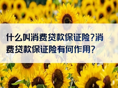 什么叫消费贷款保证险？消费贷款保证险有何作用？