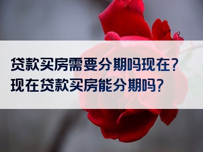 贷款买房需要分期吗现在？现在贷款买房能分期吗？