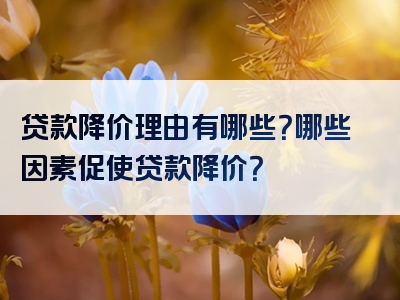 贷款降价理由有哪些？哪些因素促使贷款降价？