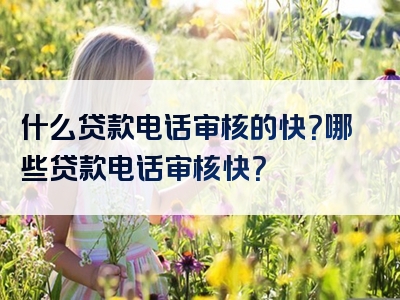 什么贷款电话审核的快？哪些贷款电话审核快？