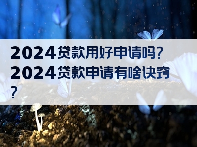 2024贷款用好申请吗？2024贷款申请有啥诀窍？